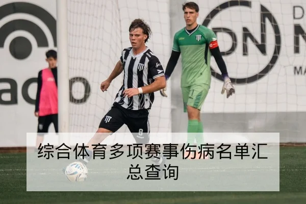 意甲赛前阵容伤停与边后卫对位对照表